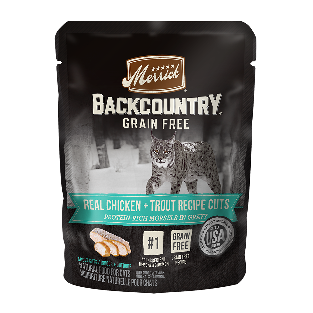 Merrick backcountry cat 2025