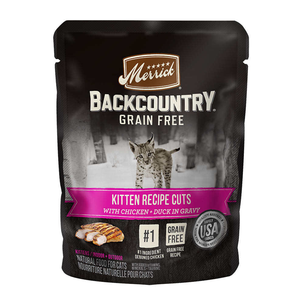 Pouch potato kitten outlet