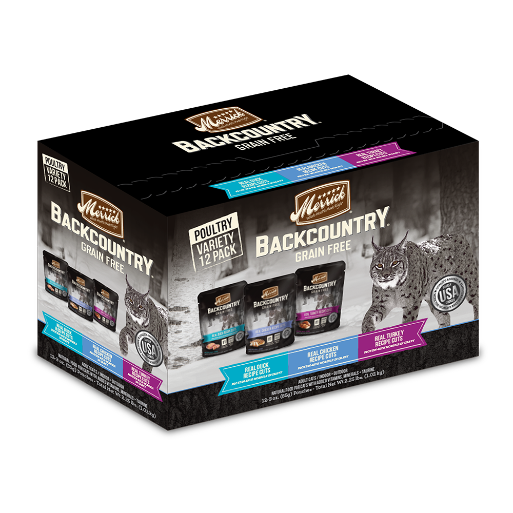 Backcountry kitten food deals