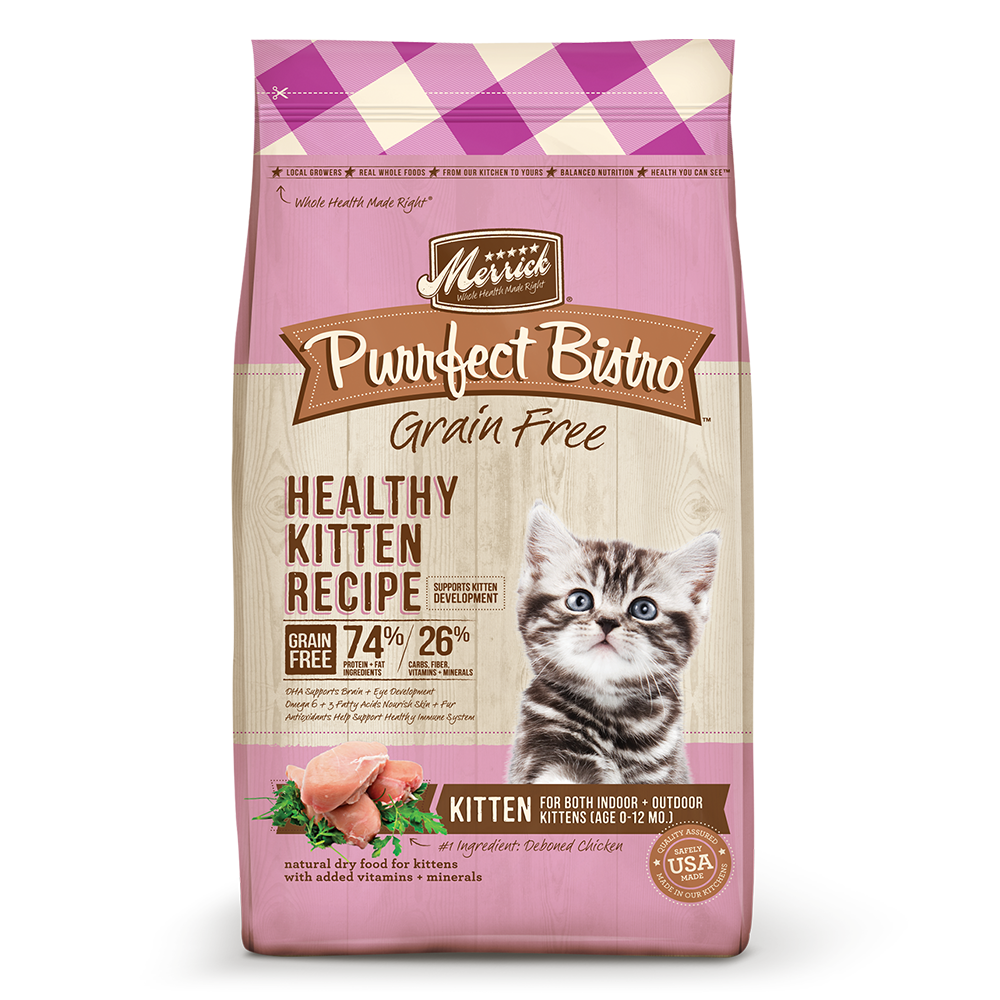 Purrfect bistro kitten deals