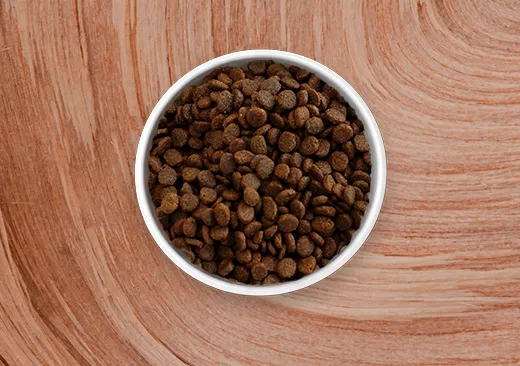 Merrick Dry Cat