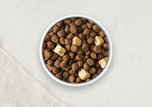 Dry Dog
