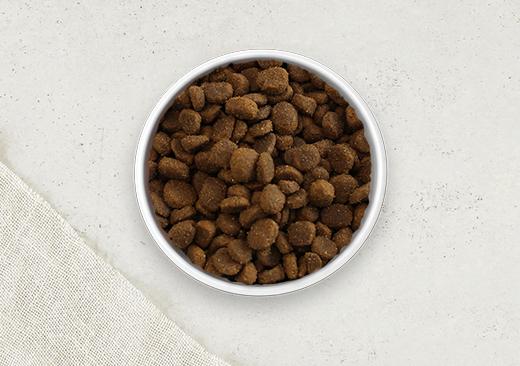 Dry Dog Food