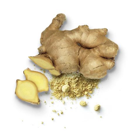 Ginger