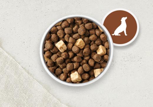 adult dog food