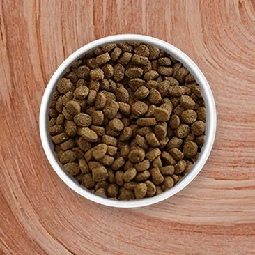 Dry Cat Food
