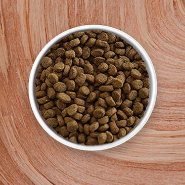 Dry Cat Food