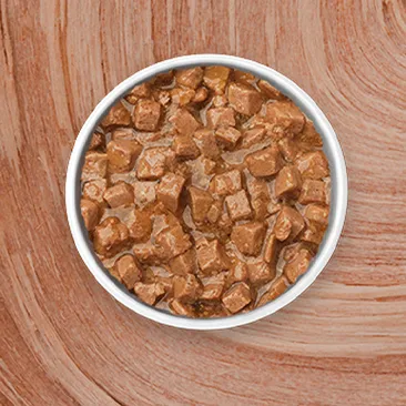 Wet Cat Food
