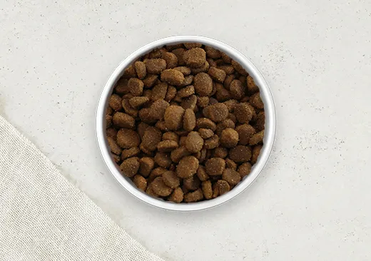 Dry Dog Food