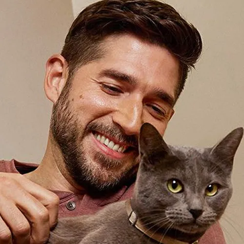 Man smiling and petting gray cat