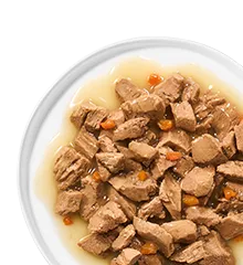 Merrick Purrfect Bistro In Gravy Recipe