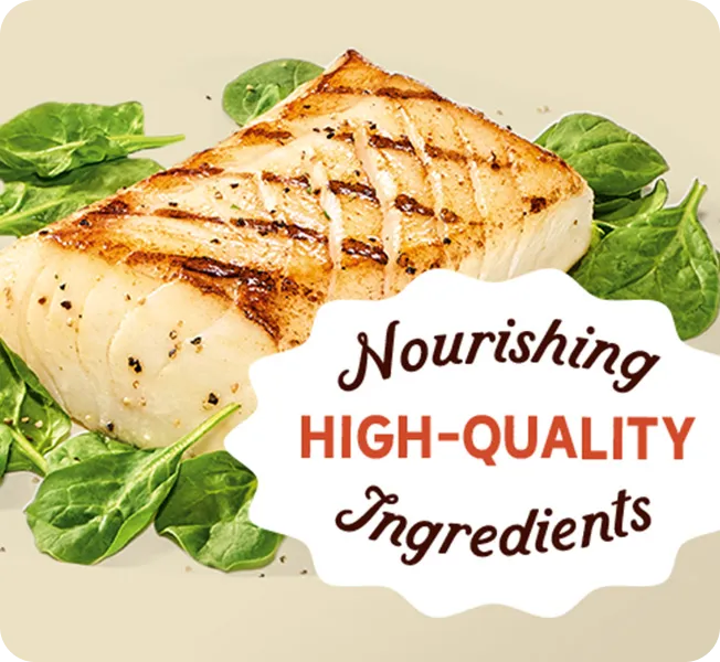 Nourishing High-Quality Ingredients