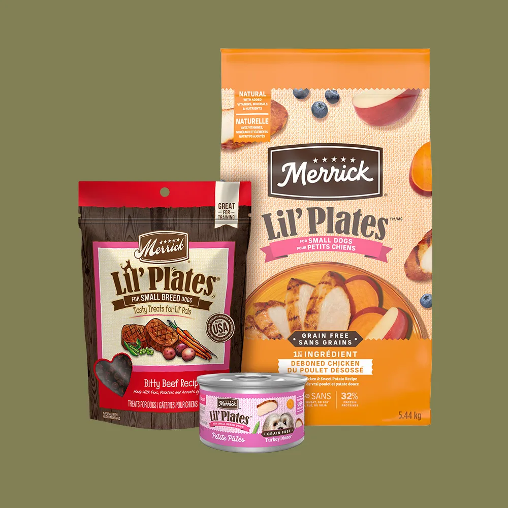 Merrick Lil' Plates Canada