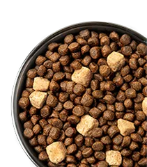 Merrick Dry Dog Food kibble in a bowl