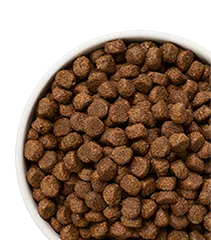 Merrick Grain Free Dog Food kibble in bowl