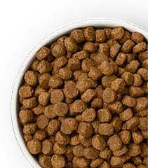 Merrick Healthy Grains Dog Food kibble in bowl