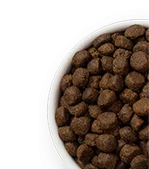 Merrick Limited Ingredient Dog Food kibble in bowl