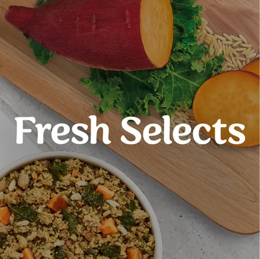 Fresh Selects