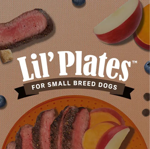 Lil’ Plates for small breed dogs