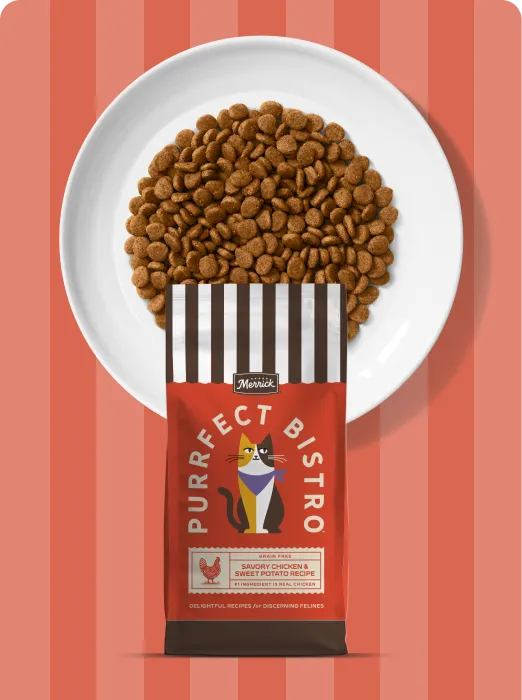 Merrick Purrfect Bistro Savory Chicken and Sweet Potato recipe dry cat food package and product