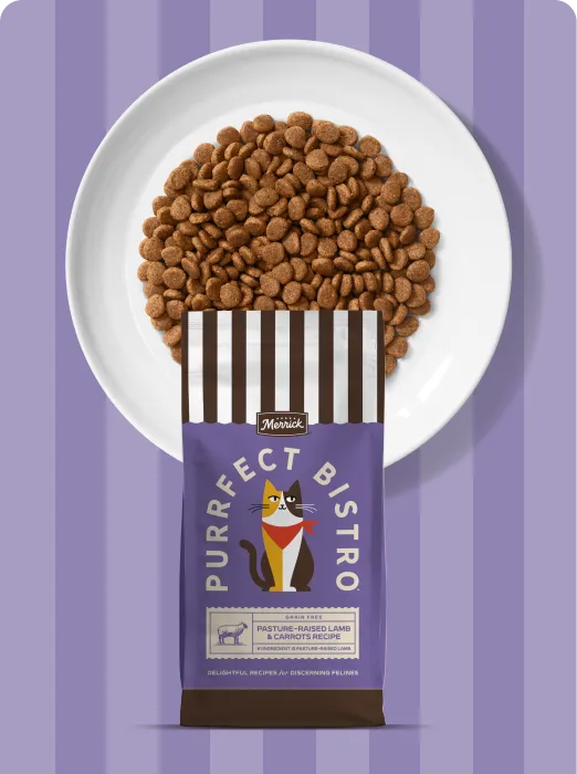 Merrick Purrfect Bistro Pasture-Raised Lamb and Carrots recipe dry cat food package and product