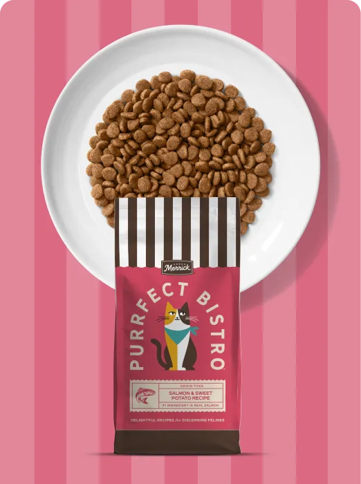 Merrick Purrfect Bistro Salmon and Sweet Potato recipe dry cat food package and product