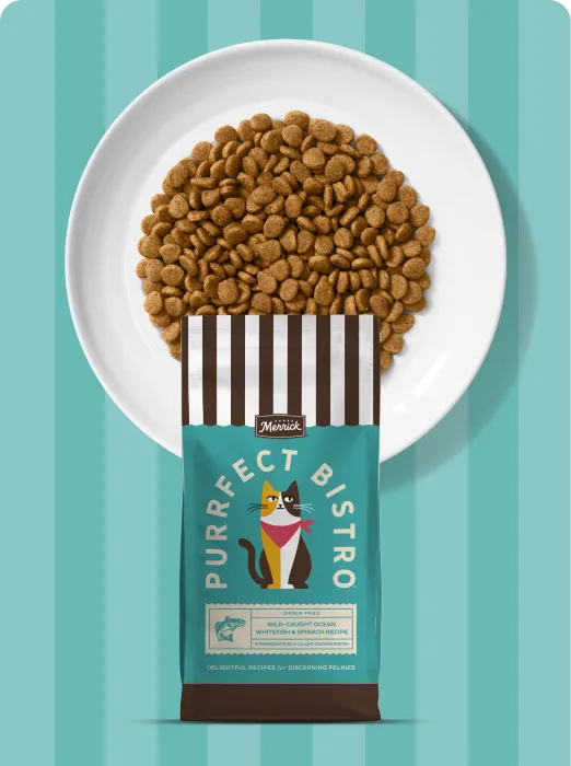 Merrick Purrfect Bistro Wild-Caught Ocean Whitefish and Spinach recipe dry cat food package and product