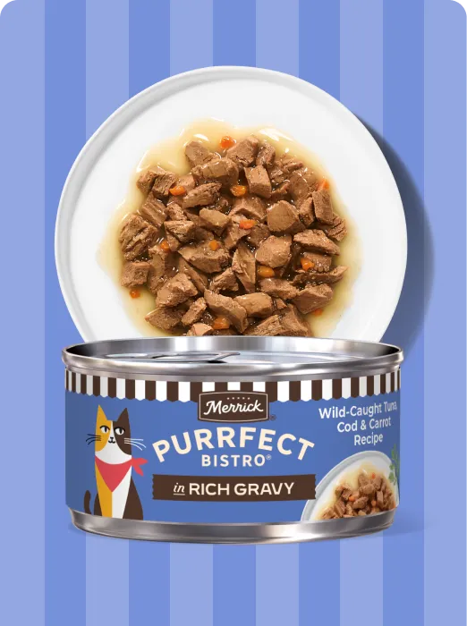 Merrick Purrfect Bistro In Rich Gravy Wild-Caught Cod, and Carrot recipe package and product