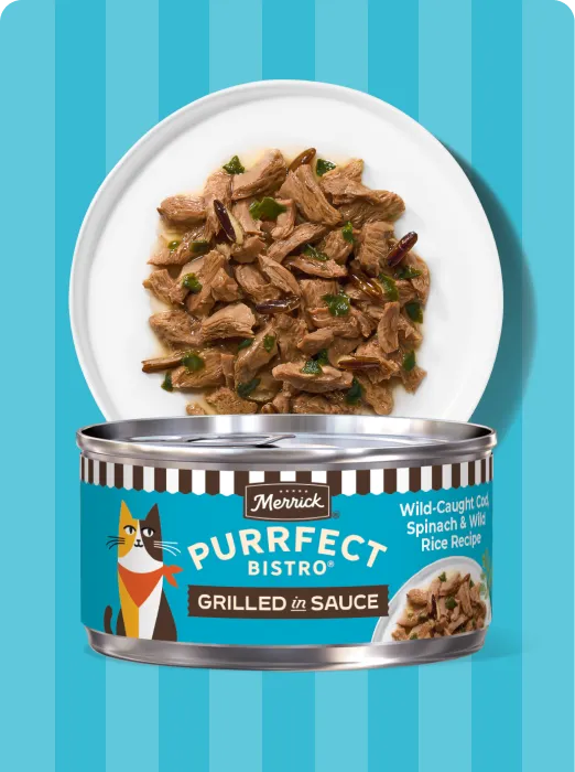 Merrick Purrfect Bistro Grilled Wild Cod, Spinach and Wild Rice recipe package and product
