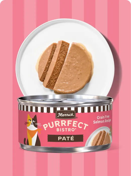 Merrick Purrfect Bistro Pate Salmon recipe package and product