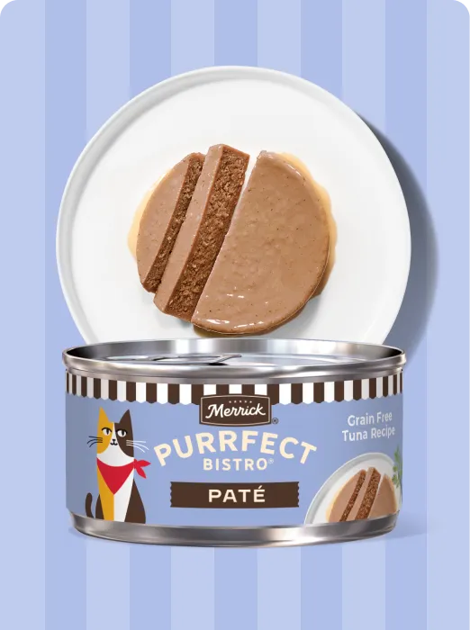 Merrick Purrfect Bistro Pate Tuna recipe package and product