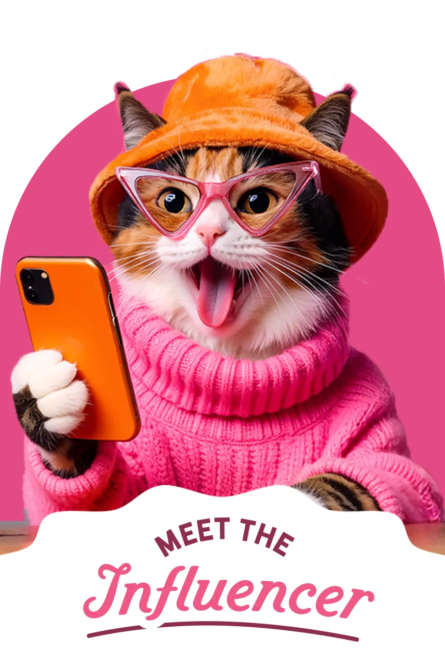 Cat in bucket hat and sweater holding a phone