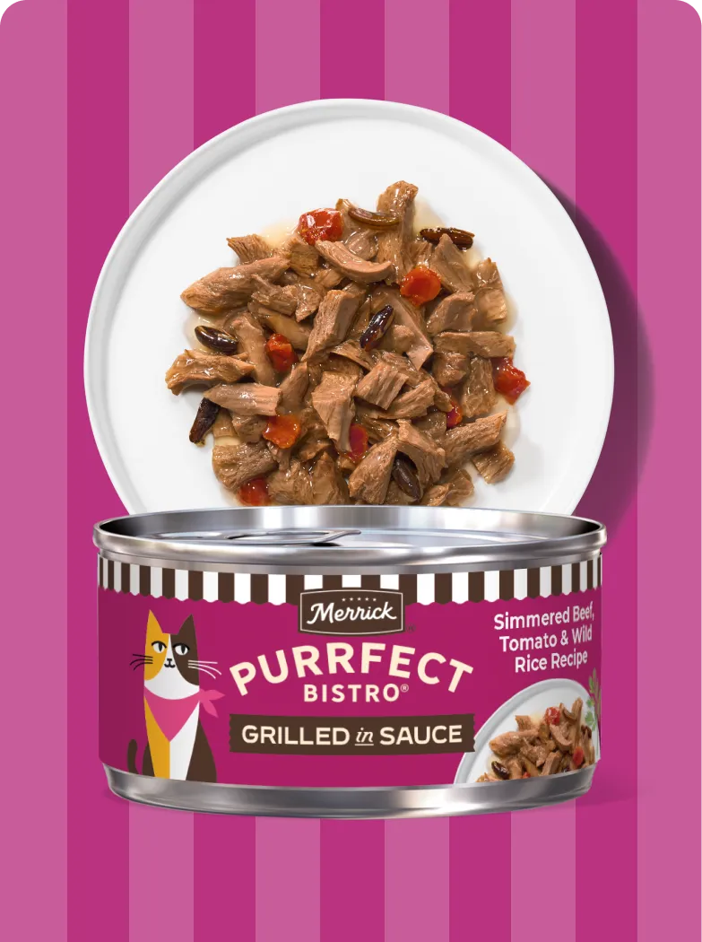 Merrick Purrfect Bistro Grilled Simmered Beef, Tomato and Wild Rice recipe package and product