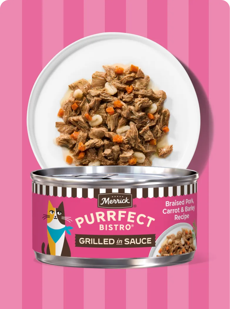 Merrick Purrfect Bistro Grilled Braised Pork, Carrot and Barely recipe package and product