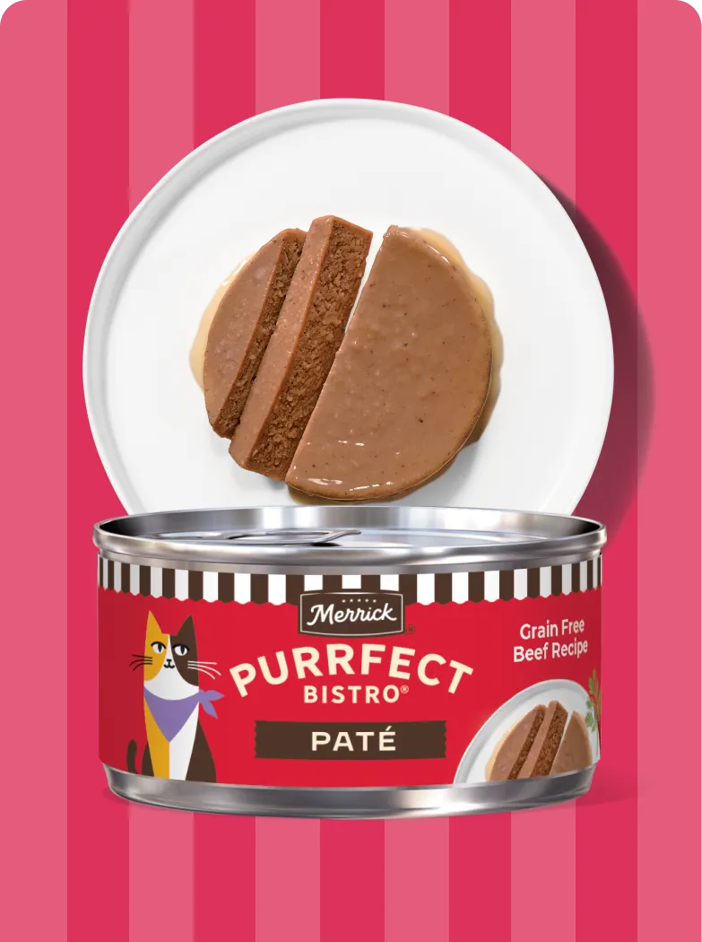 Merrick Purrfect Bistro Pate Beef recipe package and product