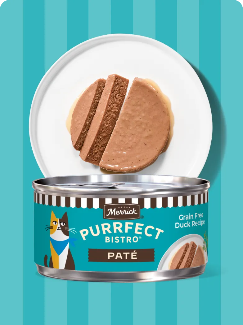 Merrick Purrfect Bistro Pate Duck recipe package and product