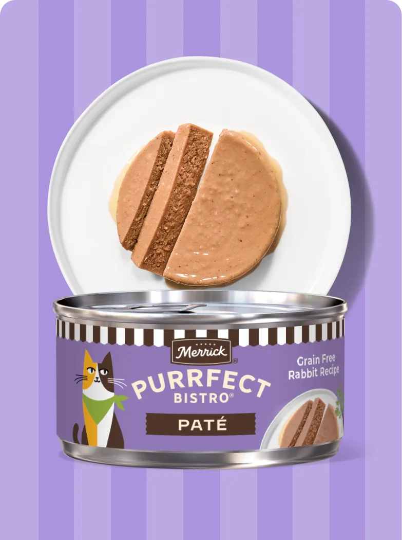Merrick Purrfect Bistro Pate Rabbit recipe package and product