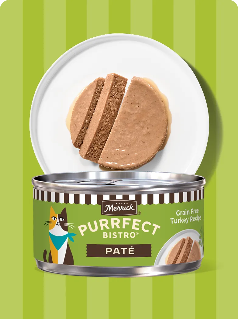 Merrick Purrfect Bistro Pate Turkey recipe package and product