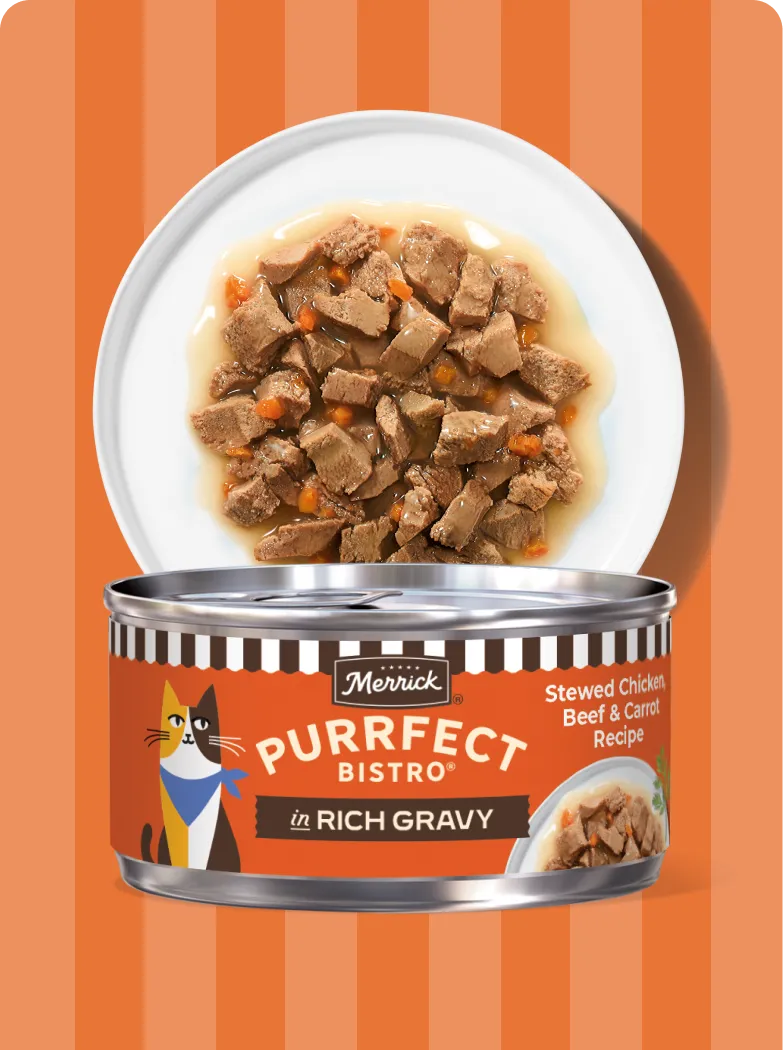 Merrick Purrfect Bistro In Rich Gravy Stewed Chicken, Beef and Carrot recipe package and product