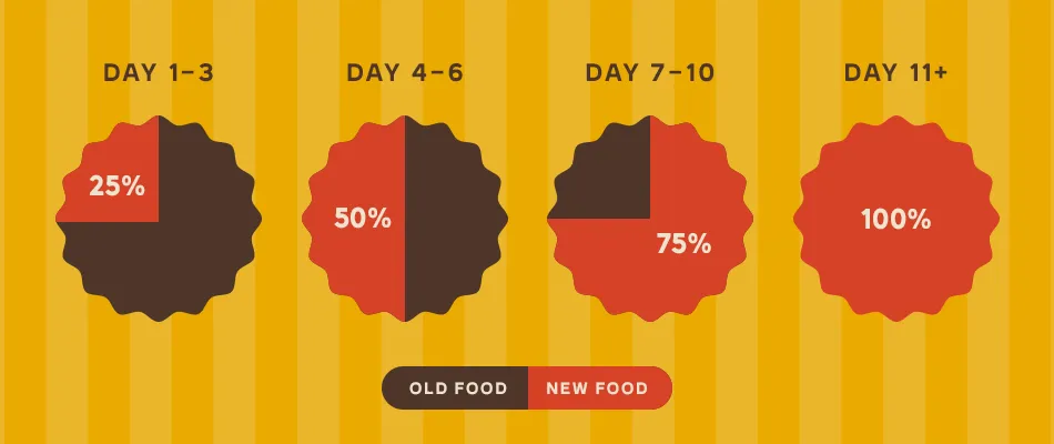 Visual of how to gradually switch your cat's food