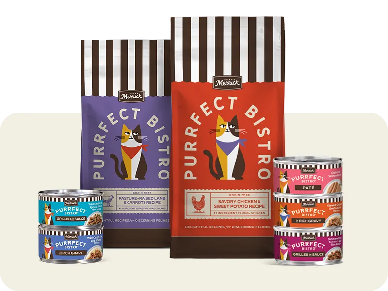 Merrick cat food package line up