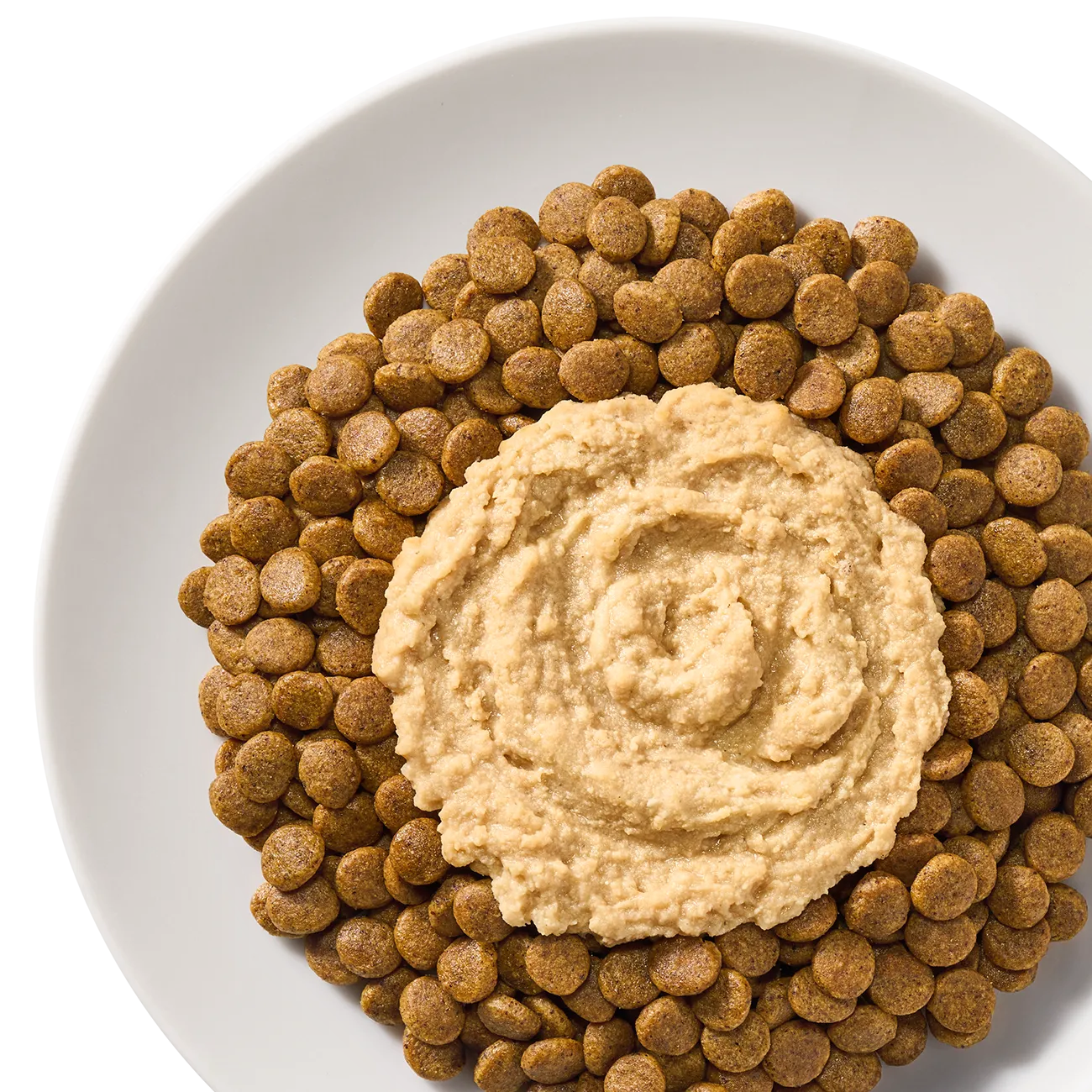 Cat food on a plate