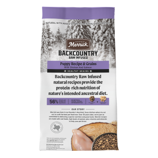 MER Backcountry HG Dog Puppy back lg