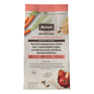 Healthy Grains Freeze-dried Raw-coated Kibble Real Salmon + Brown Rice Recipe - Back of bag