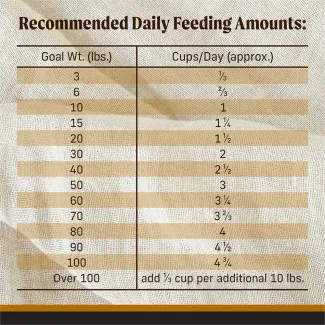 Backcountry Raw Freeze Dried Big Game Dog Food | Merrick Pet Care