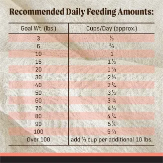 Backcountry Raw Grain Free Pacific Catch Dog Food | Merrick Pet Care