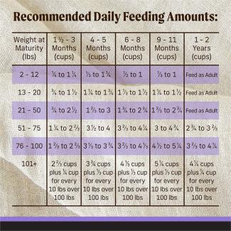 FEED