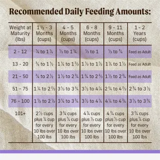 FEED