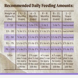 FEED