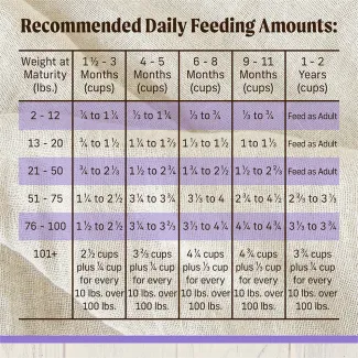 Feed​